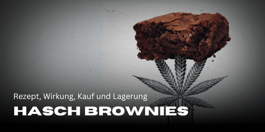 Rezept, Wirkung, Kauf und Lagerung von Hasch Brownies