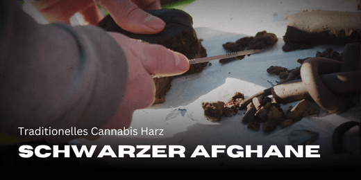 Darstellung von Schwarzer Afgahne Hasch, dass aufgeschnitten wird. Haschisch