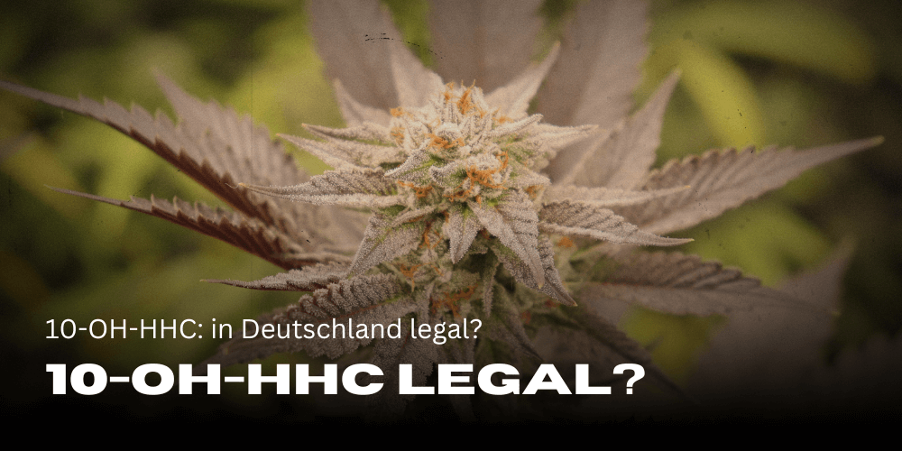 10-OH-HHC: ¿legal en Alemania?