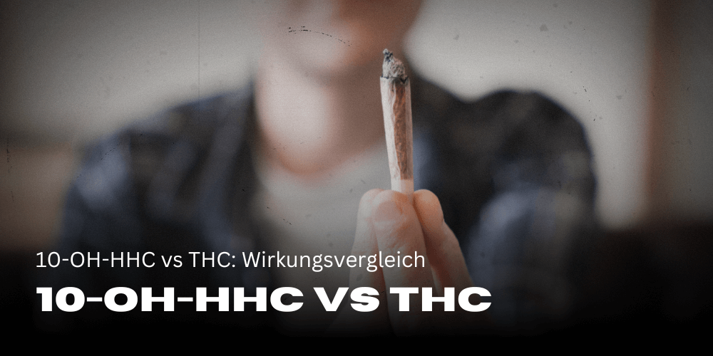 10-OH-HHC frente a THC: comparación de efectos