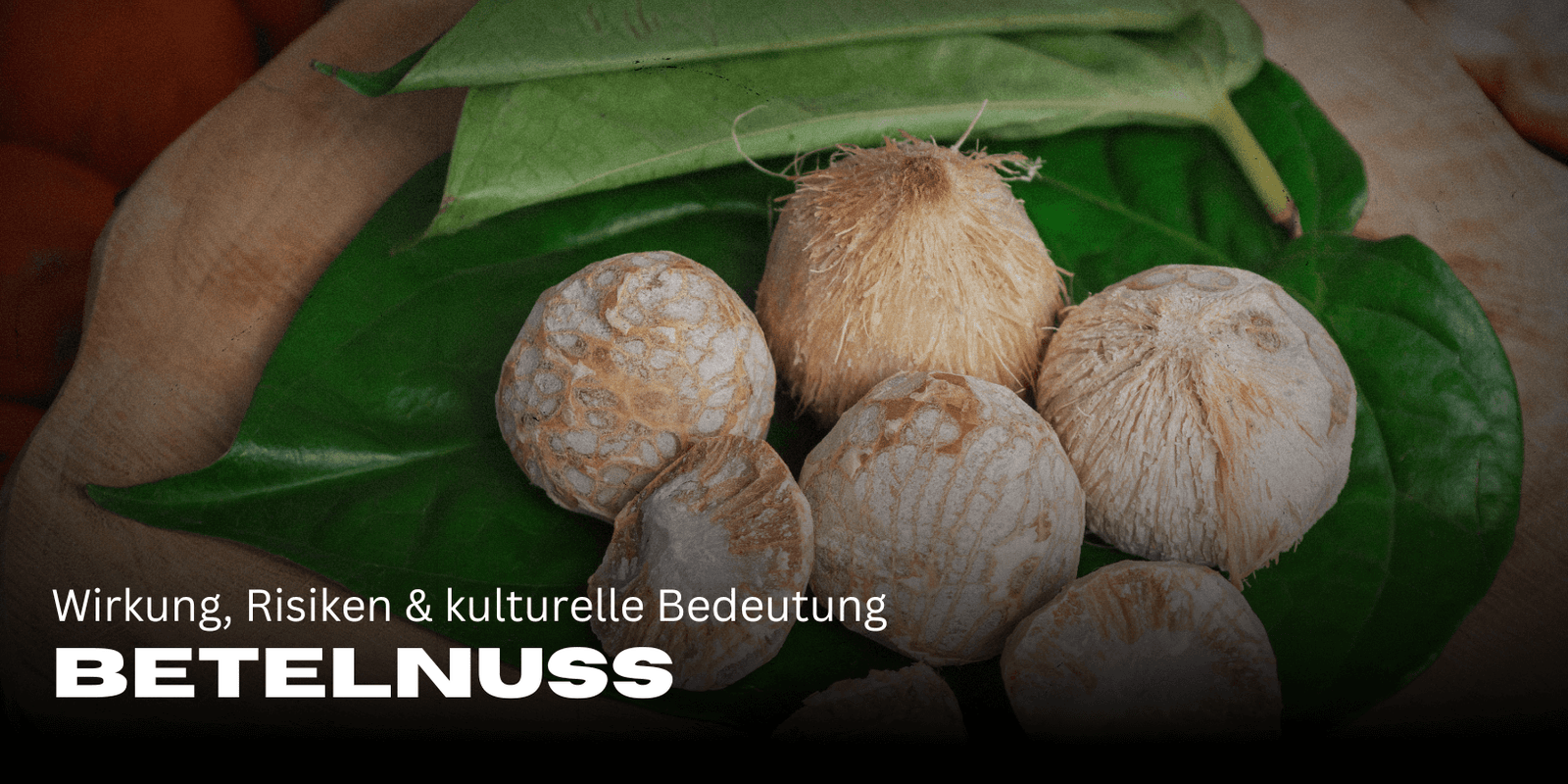 Betelnuss: Wirkung, Risiken & kulturelle Bedeutung