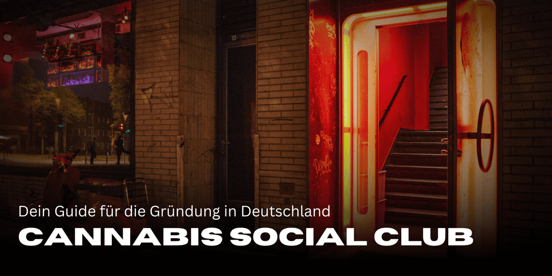 Found a cannabis social club: Your guide for Germany