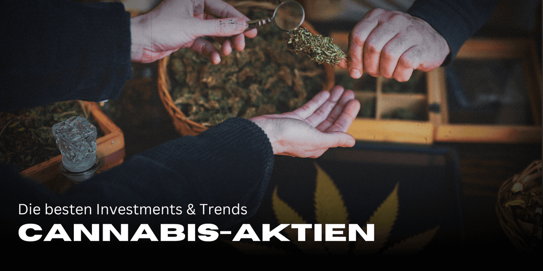 Cannabis stocks 2025: The best investments & trends 🚀