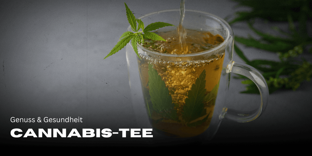 Cannabis-Tee: Genuss & Gesundheit in einer Tasse