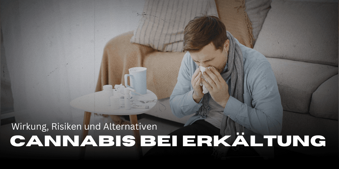 Cannabis for colds - effects, risks and alternatives
