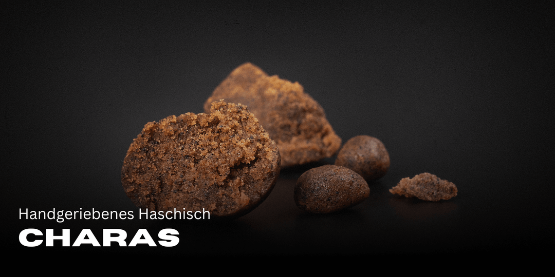 Charas - Hand-rubbed hashish from the Himalayas 🌿