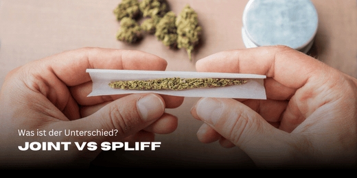 Spliff vs Joint - What is the difference?