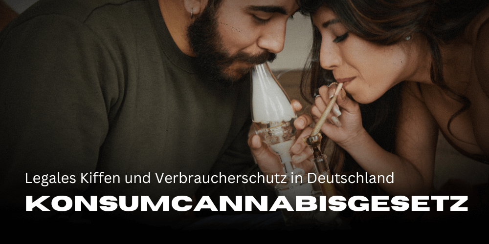 Consumer cannabis law: Legal smoking and consumer protection in Germany