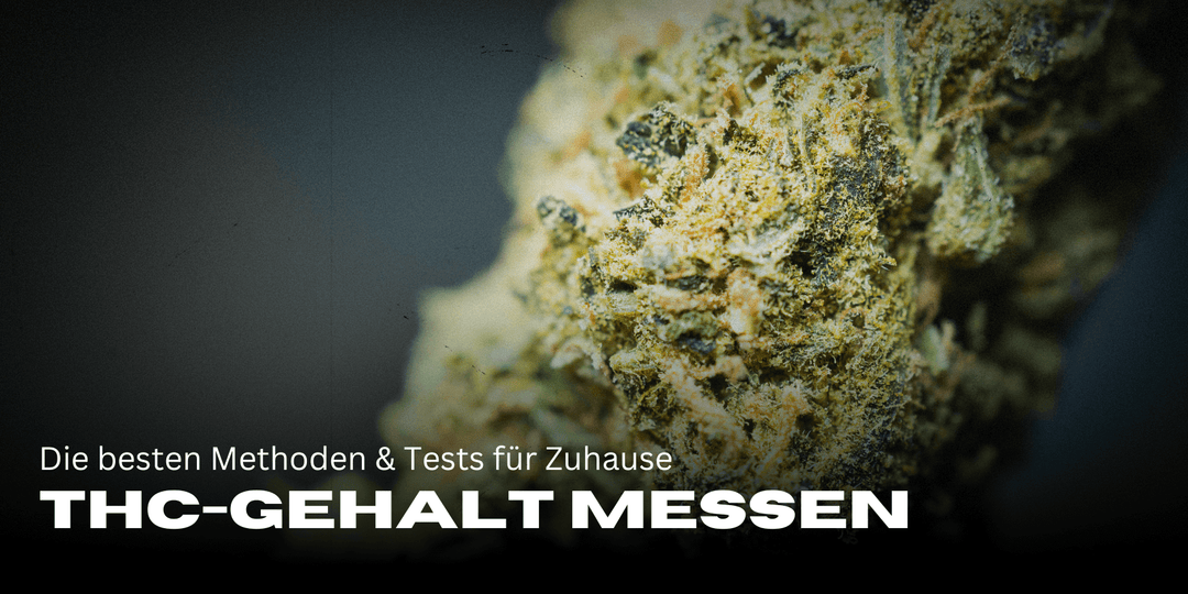 Measure THC content at home: The best methods &amp; tests 🌿