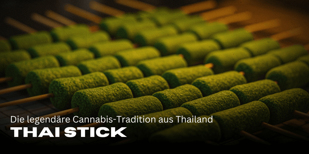 Thai Stick: La legendaria tradición cannábica de Tailandia