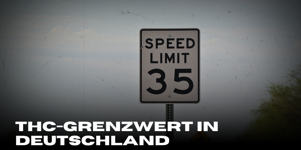 THC-Grenzwert in Deutschland: Alles, was Autofahrer wissen müssen