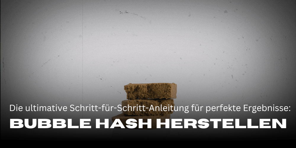 Bubble Hash herstellen: Die ultimative Schritt-für-Schritt-Anleitung für perfekte Ergebnisse