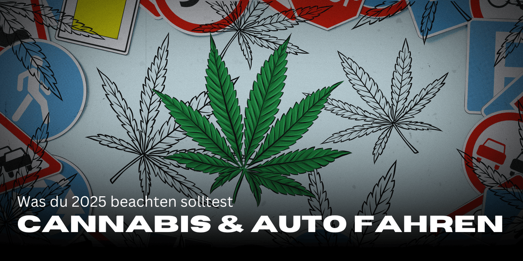 Cannabis patients &amp; driving licence 2025: rules &amp; tips 🚗