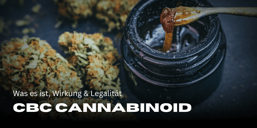 CBC Cannabinoid: Was es ist, Wirkung & Legalität