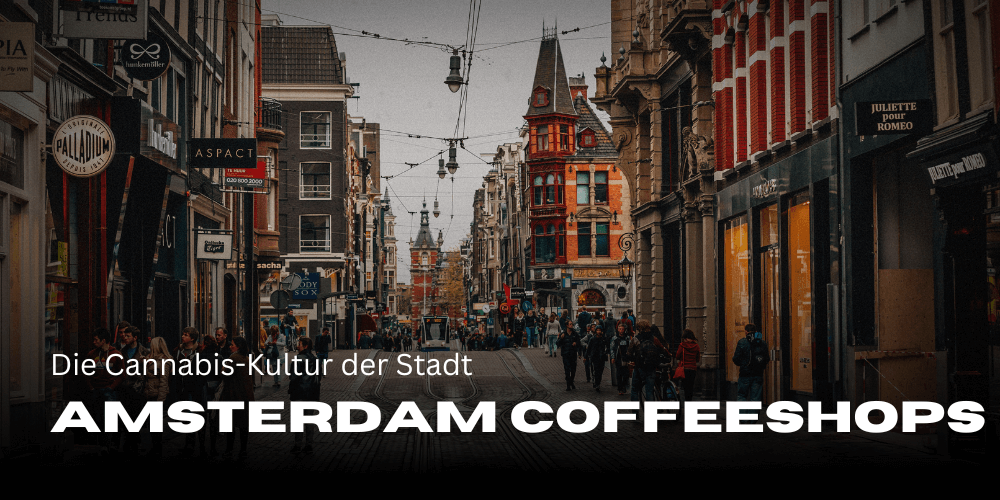 Amsterdam coffeeshops: the city's cannabis culture