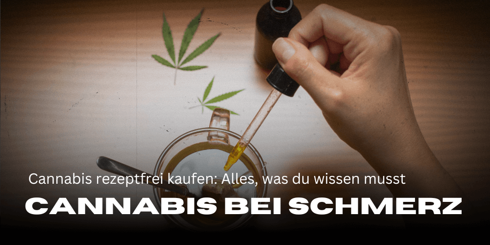 Comprar cannabis para el dolor sin receta: Todo lo que debes saber