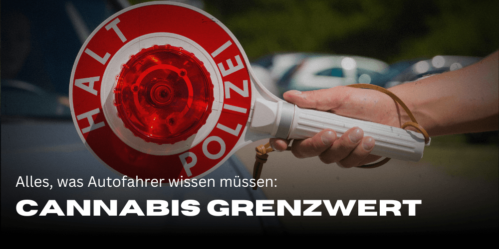 Valor límite de THC en Alemania: todo lo que los conductores deben saber