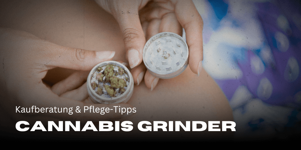 Cannabis grinder: buying advice & care tips