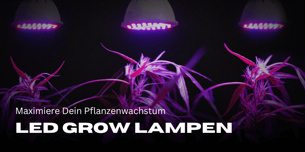 The best LED grow lights 2024: Maximize your plant growth