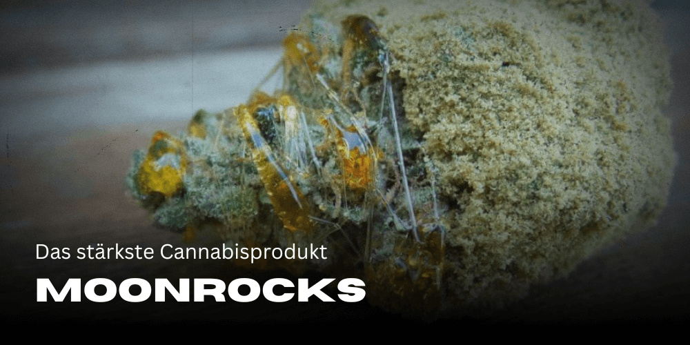 Moonrocks: el producto cannábico más fuerte