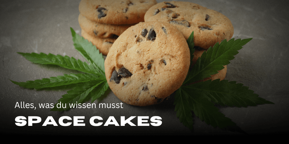 Space cakes: everything you need to know