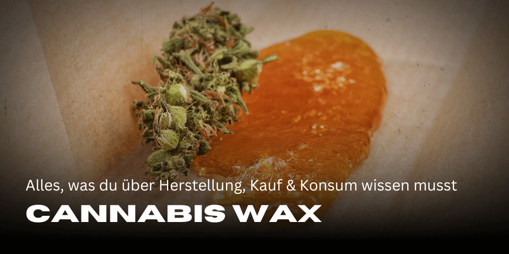 Cannabis Wax: Alles, was du über Herstellung, Kauf und Konsum wissen musst