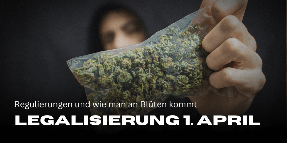 Cannabis Legalisierung 1. April 2024: Regulierungen 