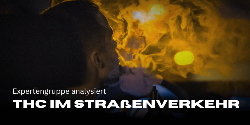 Un grupo de expertos analiza los límites de THC en el tráfico rodado