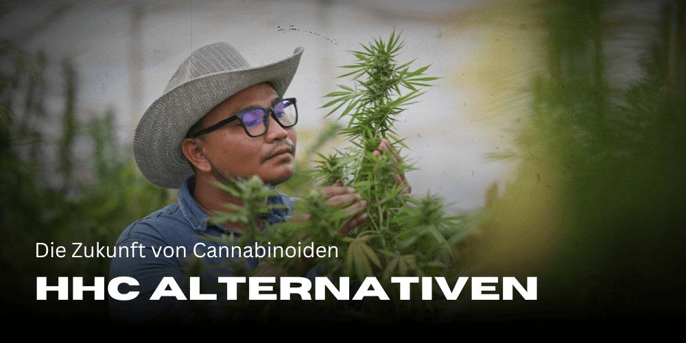 HHC Alternatives - The future of cannabinoids