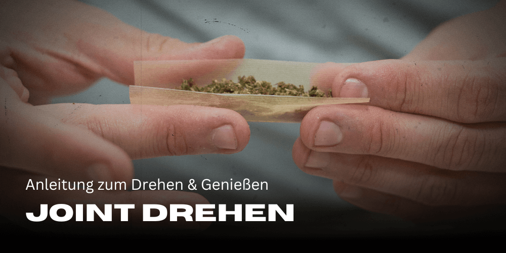 Anleitung zum Joint Drehen und Genießen