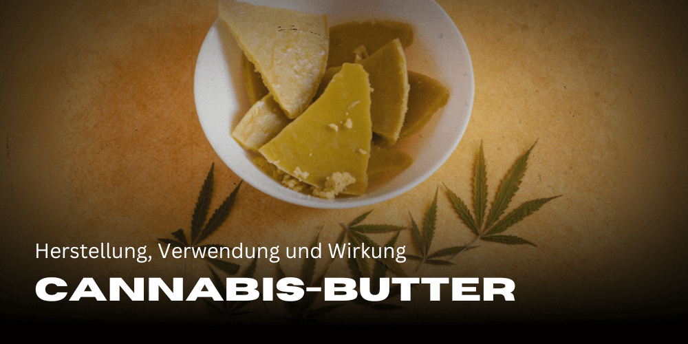 Mantequilla de cannabis: producción, uso y efectos