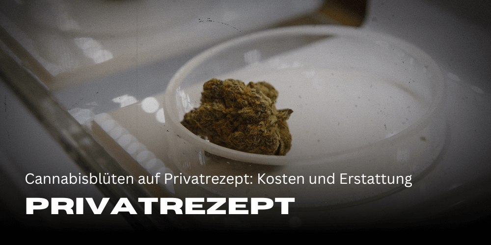 Cannabisblüten auf Privatrezept: Kosten und Erstattung