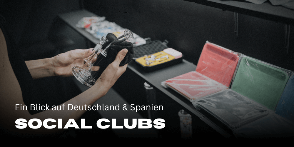 Clubes sociales de cannabis: una mirada a Alemania y España