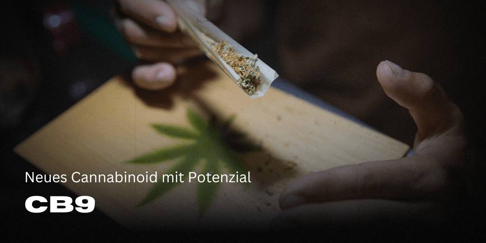 CB9: El prometedor cannabinoide con potencial