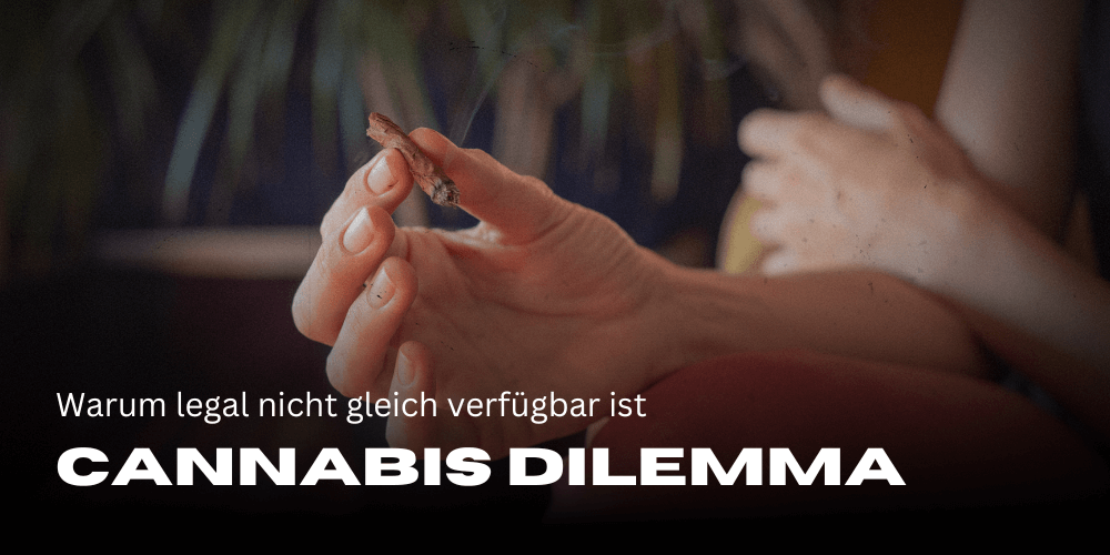 El dilema del cannabis: por qué legal no significa disponible