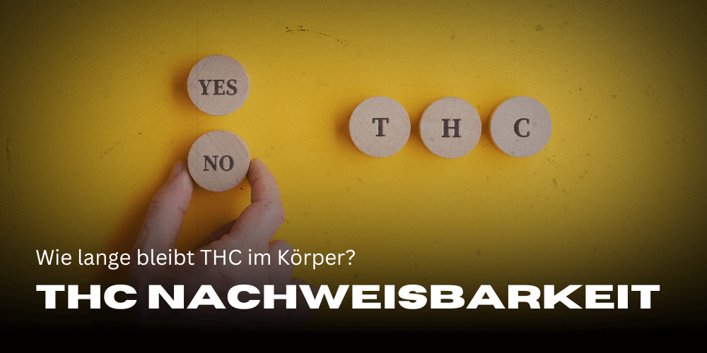 THC Nachweisbarkeit: Wie lange bleibt THC im Körper?