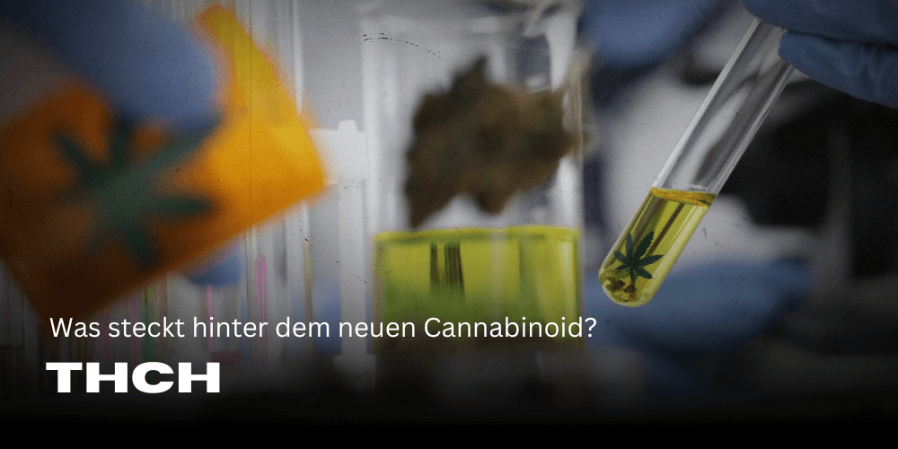 THCH – Was steckt hinter dem neuen Cannabinoid?