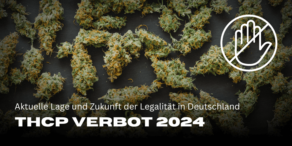 THCP ban 2024: Current situation and future of legality in Germany