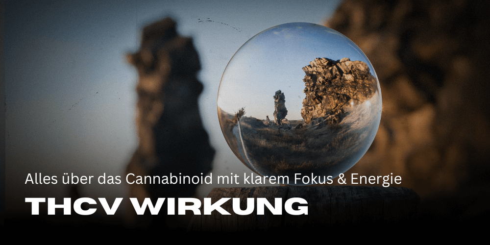 THCv effects: All about the cannabinoid with clear focus and energy