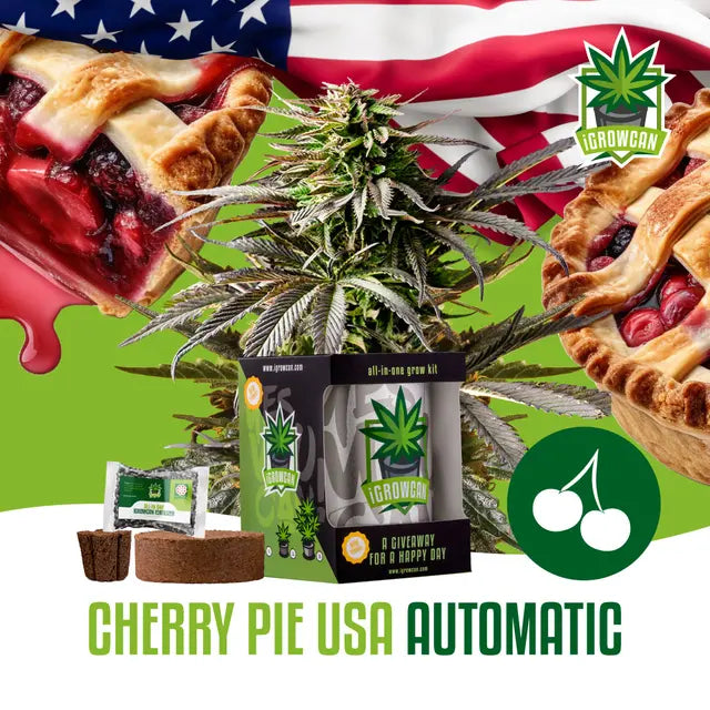 Cherry Pie USA Automatic