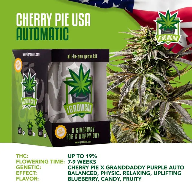 Kit de cultivo todo en uno: Cherry Pie USA (iGrowCan)