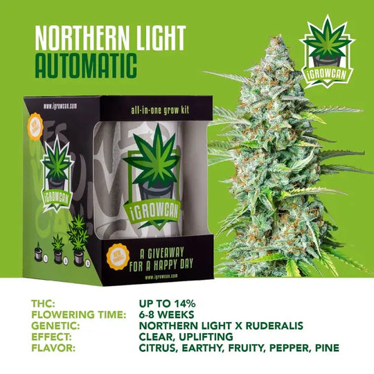 Northern Light Automatic