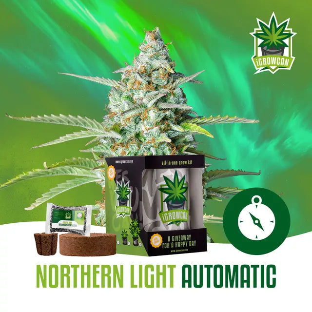 Kit de cultivo todo en uno: Northern Light Auto (iGrowCan)