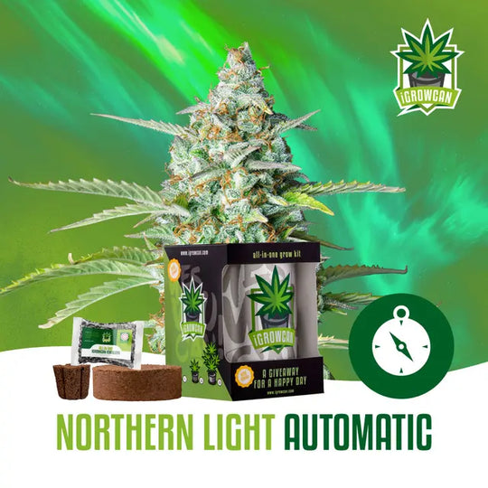 Kit de cultivo todo en uno: Northern Light Auto (iGrowCan)