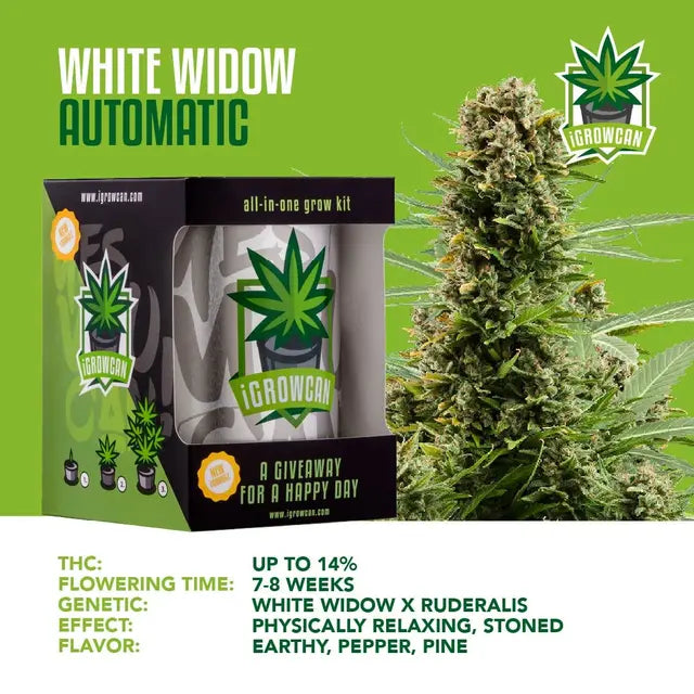 Kit de cultivo todo en uno: White Widow Auto (iGrowCan)