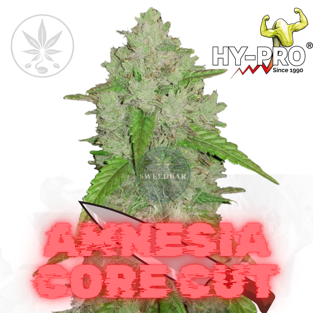 Amnesia Core Cut HY-PRO