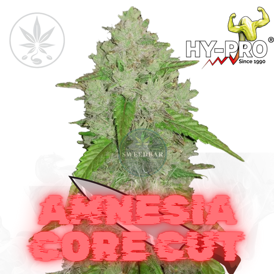 Amnesia Core Cut HY-PRO