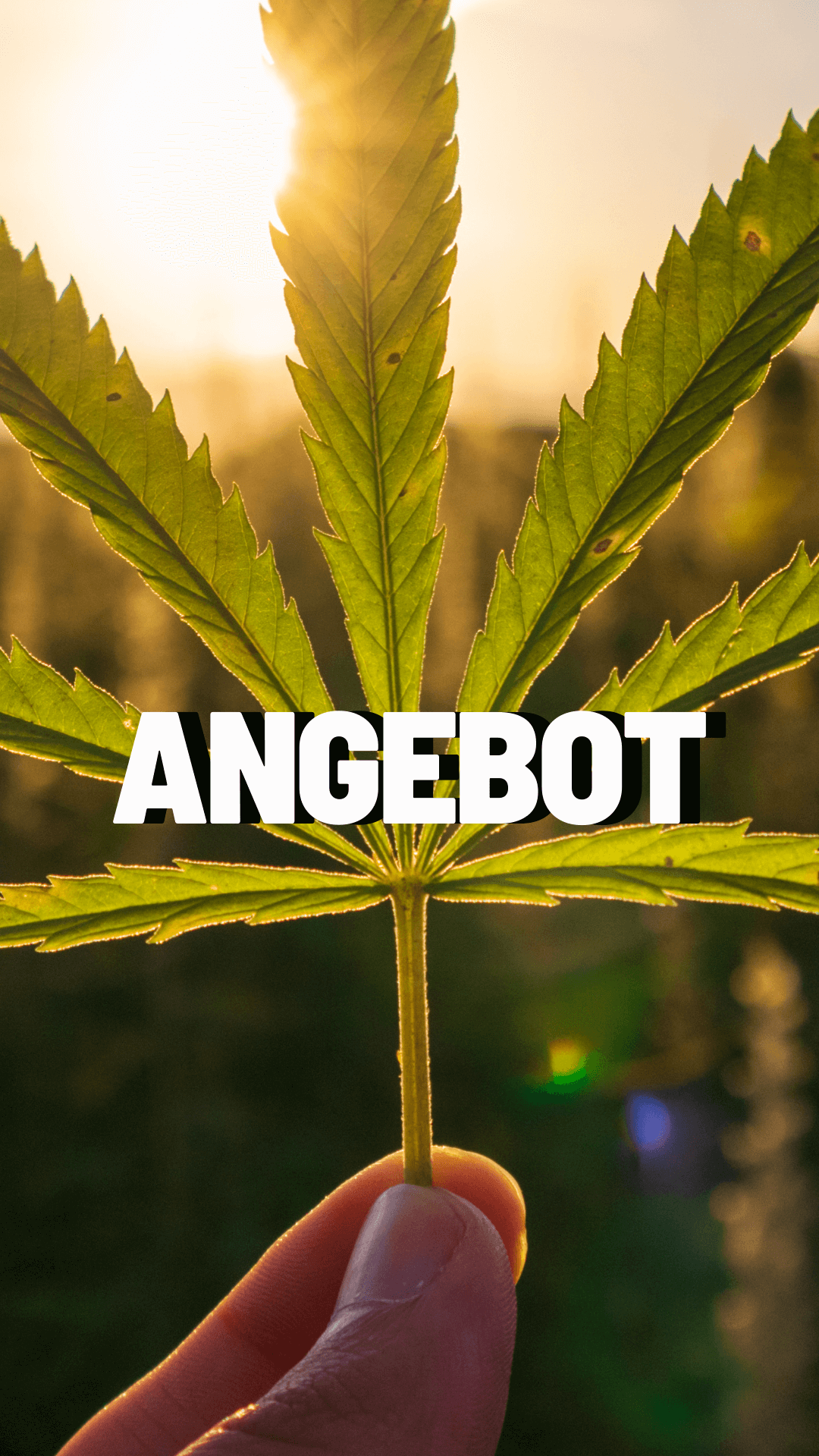 HHC Cannabis guenstig online bestellen im Angebot