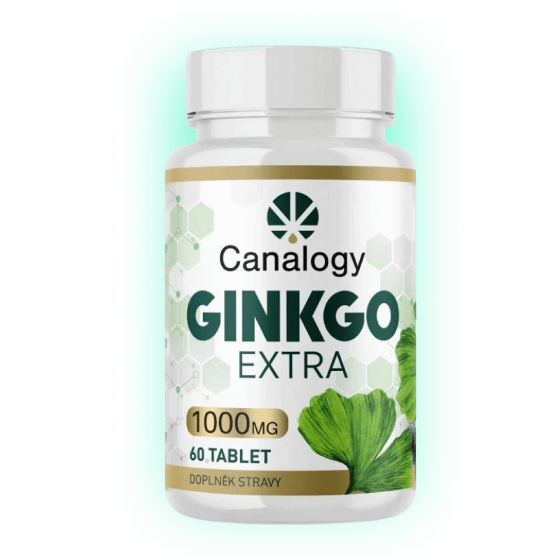 Gingko Extra 90 Tabletten