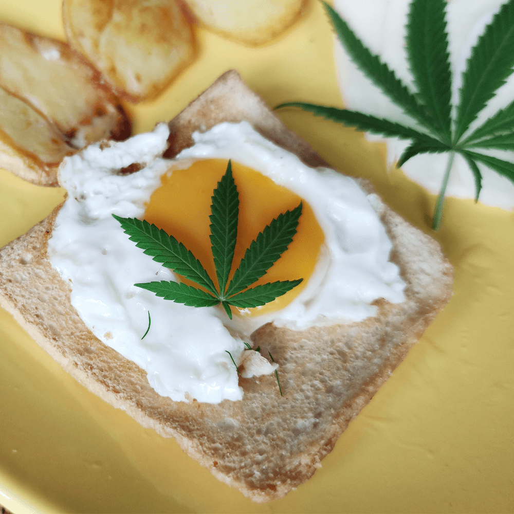 Hanflebensmittel mit CBD